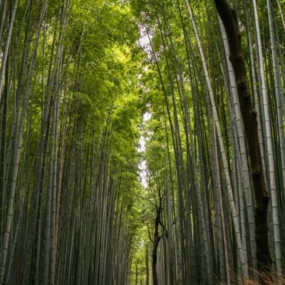 坦克激战内购破解版下载